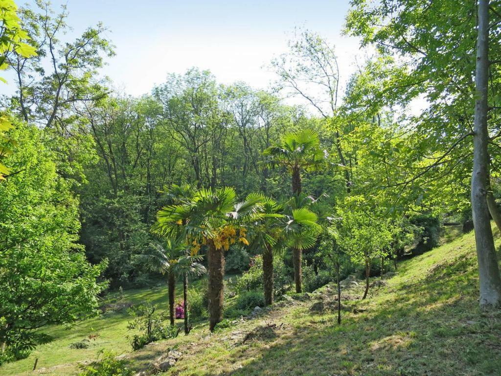 Casa Nel Bosco Villa Reno Di Leggiuno Eksteriør bilde